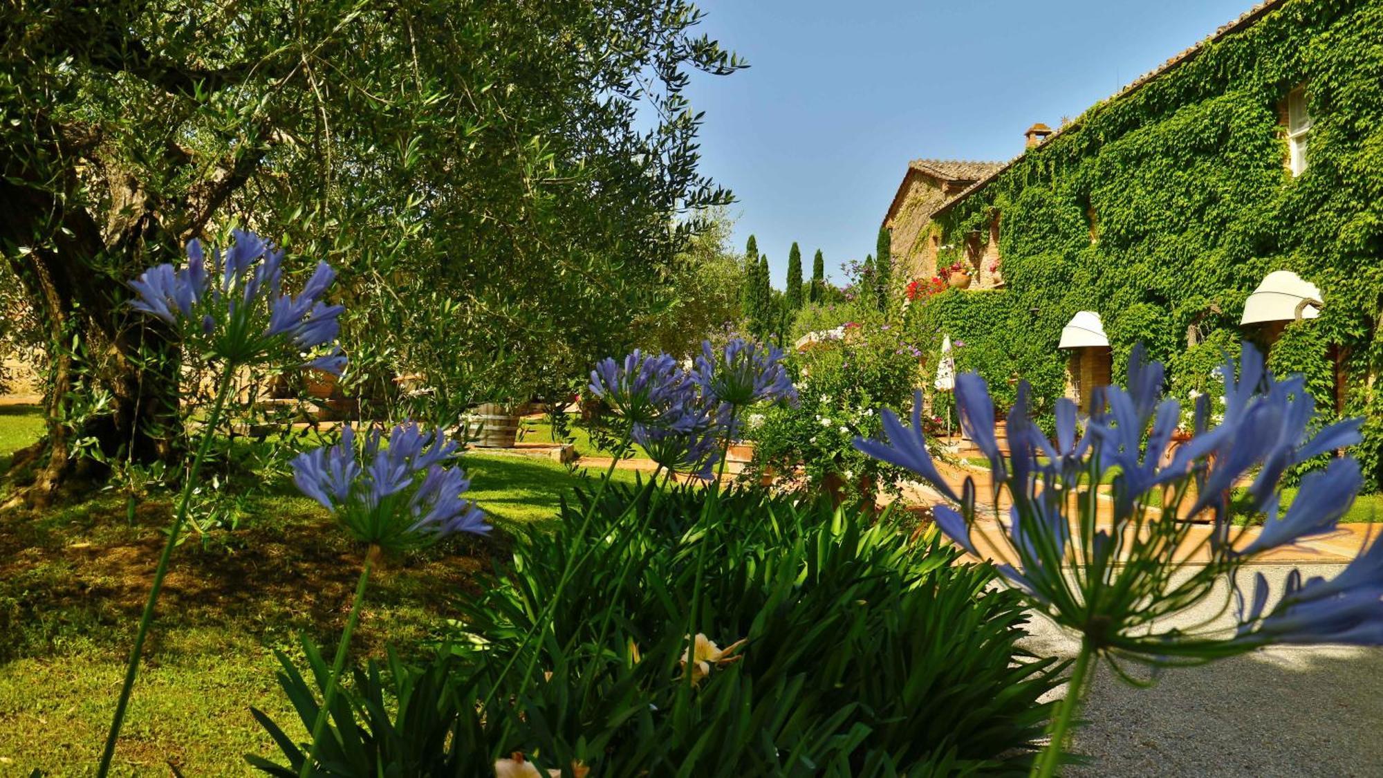 סרטאנו Agriturismo La Sovana מראה חיצוני תמונה