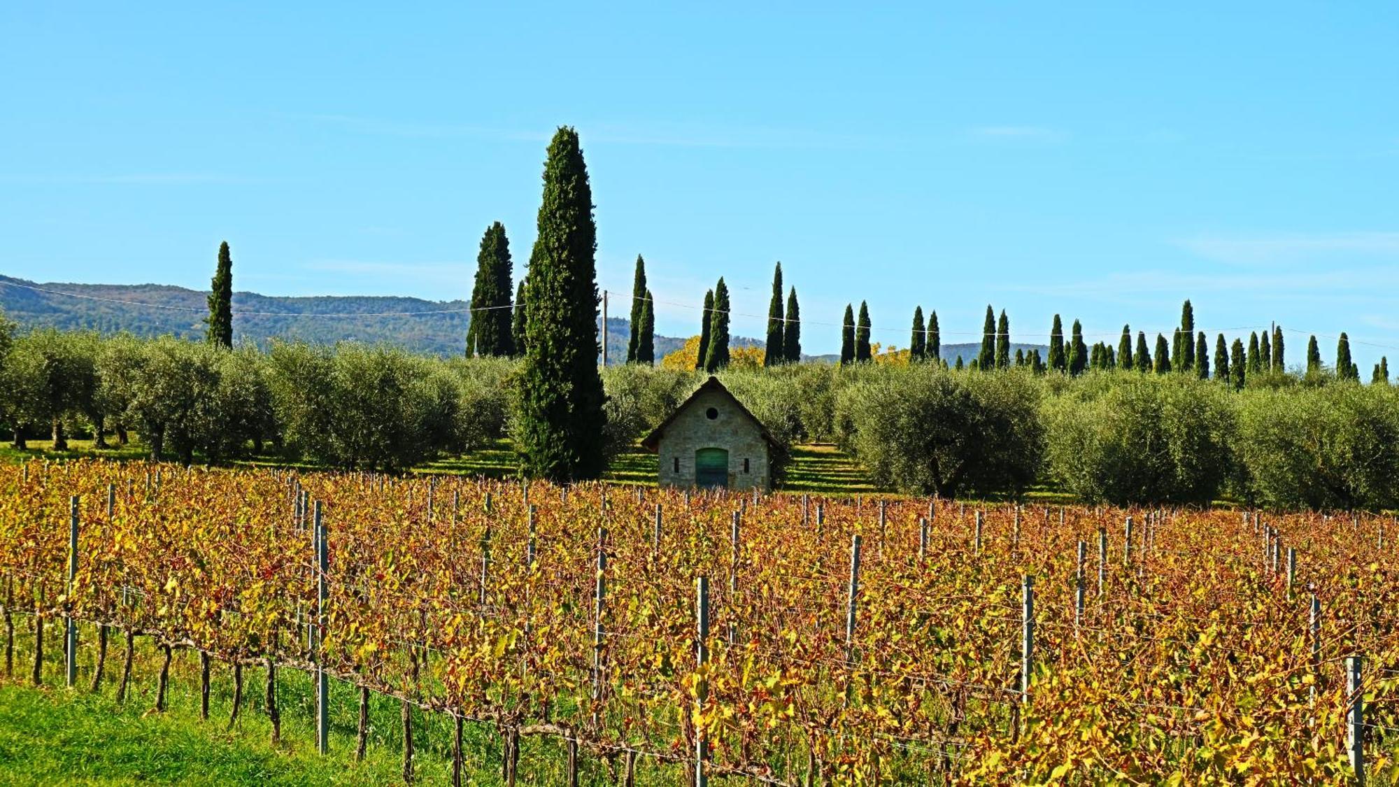 סרטאנו Agriturismo La Sovana מראה חיצוני תמונה