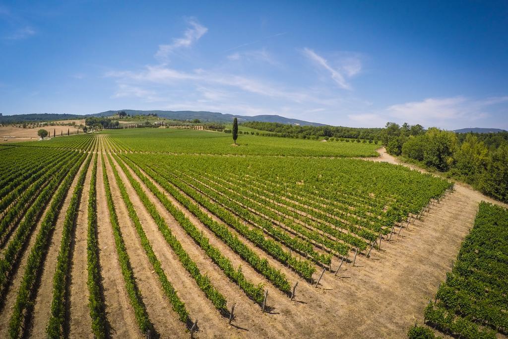 סרטאנו Agriturismo La Sovana מראה חיצוני תמונה