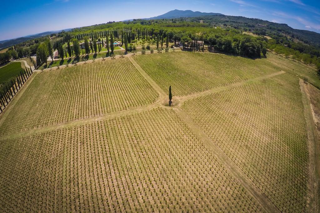 סרטאנו Agriturismo La Sovana מראה חיצוני תמונה